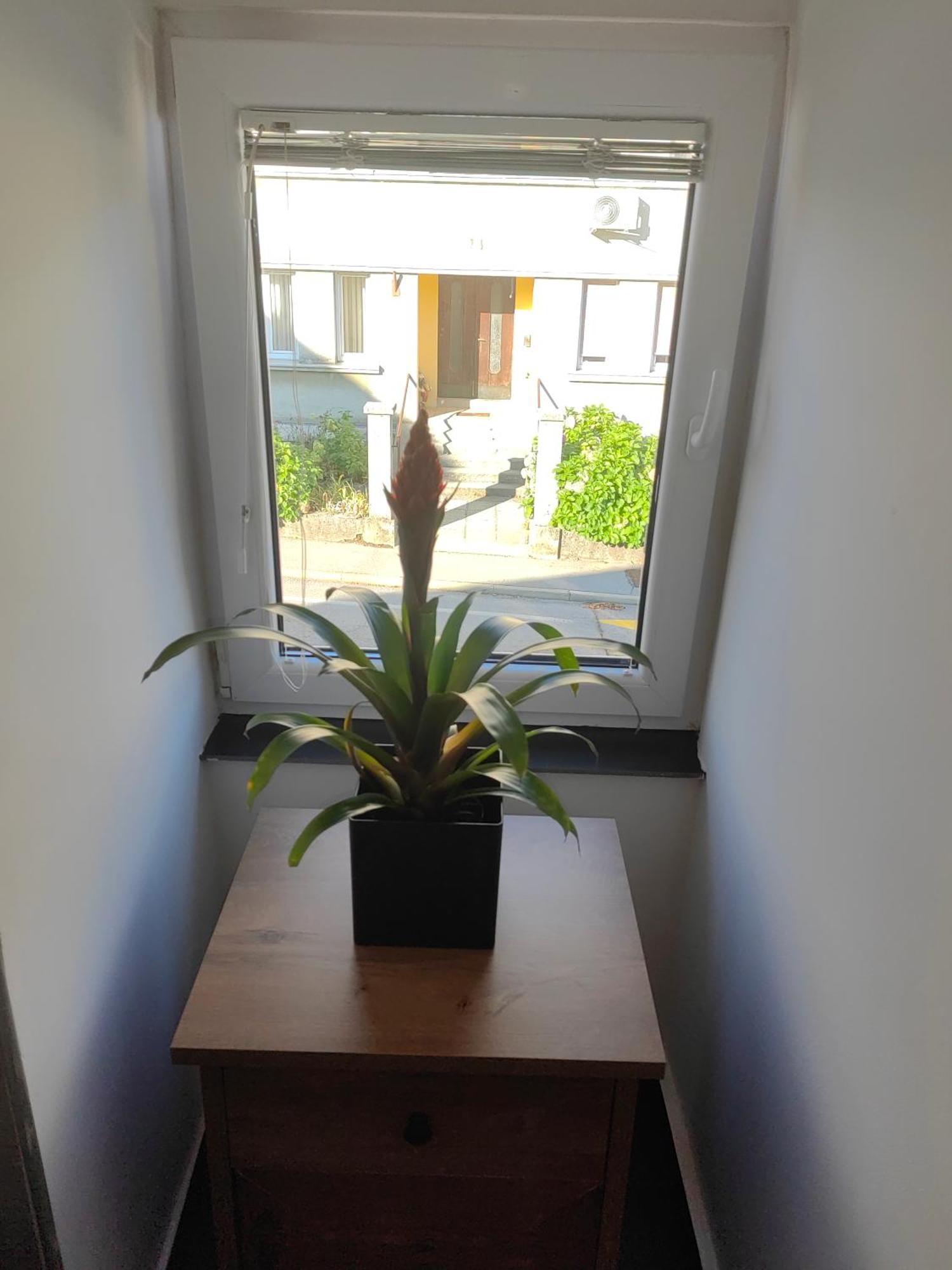 Appartement Sana à Postojna Extérieur photo